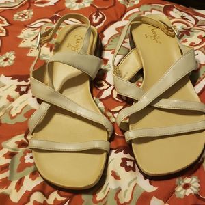 Chicory sport size 9